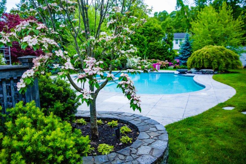 Lush green backyard and pool with lawn maintained by an experienced Boston-area lawn care and tree service company.