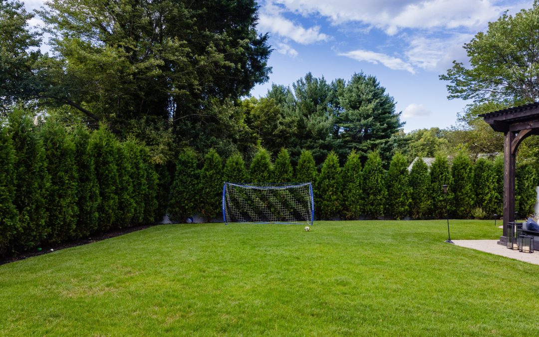 Thick, healthy green lawn in Massachusetts maintained by top-rated local lawn care service