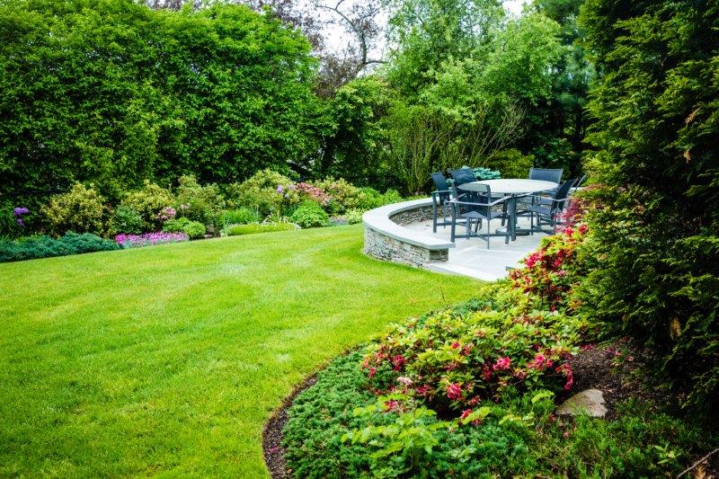 Lawn after the fertilization services