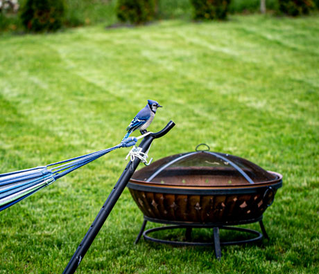 Backyard fire pit surrounded by green, healthy grass after lawn dethatching