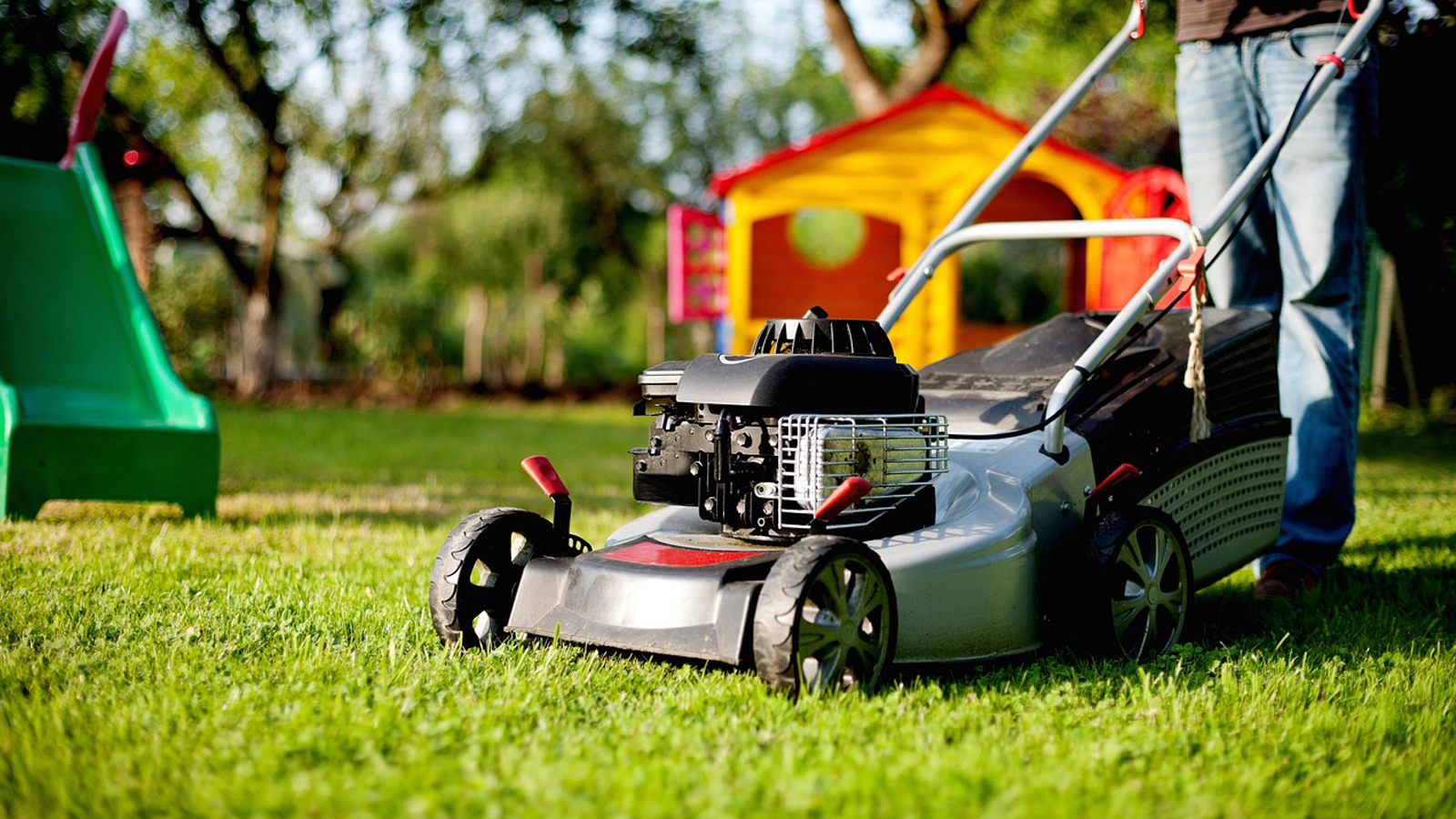 Lawn Overseeding