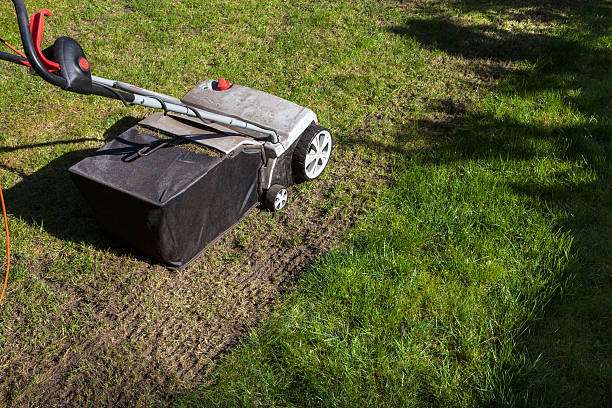 lawn aeration