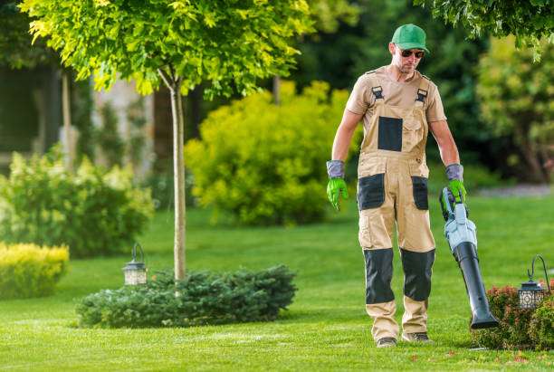 arborist doing plant care